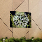 Abstract Green Bubble Art Poster — Matte Horizontal Wall Print