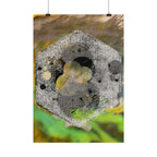 Abstracte zeshoekige stenen poster — Muurdecoratie met botanische textuur 
