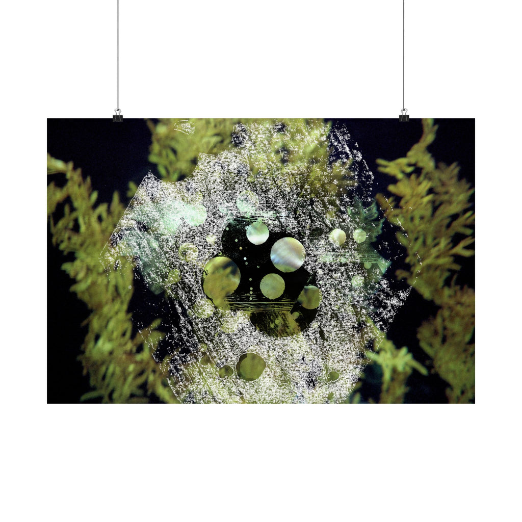 Abstracte natuurcollage, matte horizontale poster 