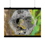 Abstract Hex Bolt Close-Up Matte Poster — Industrial Nature Wall Art