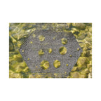 Abstracte geode matte horizontale poster — Gele kristaltextuur wanddecoratie 