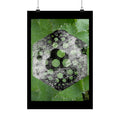 Matte Poster — Abstract Green Hexagon Botanical Print
