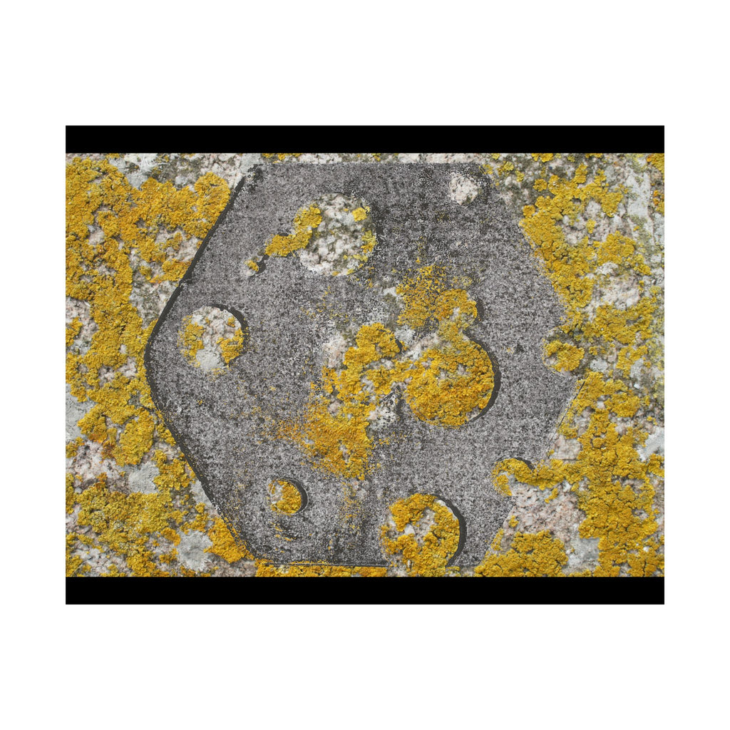Abstracte poster met korstmosstructuur en matte afwerking — Geel &amp; Grijs Botanische Muurdecoratie 