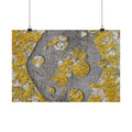 Abstracte poster met korstmosstructuur en matte afwerking — Geel &amp; Grijs Botanische Muurdecoratie 