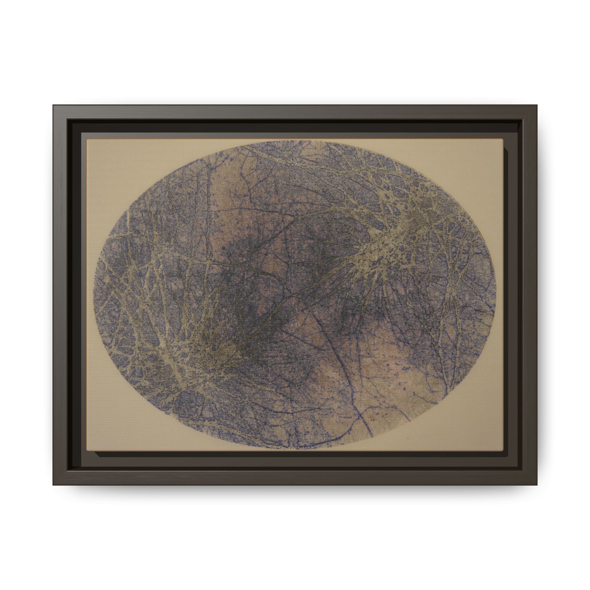 Abstract Botanical Circle Matte Canvas Framed Art - no 42