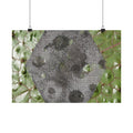 Botanical Hex Abstract Matte Poster — Green Leaf Texture Horizontal Wall Art