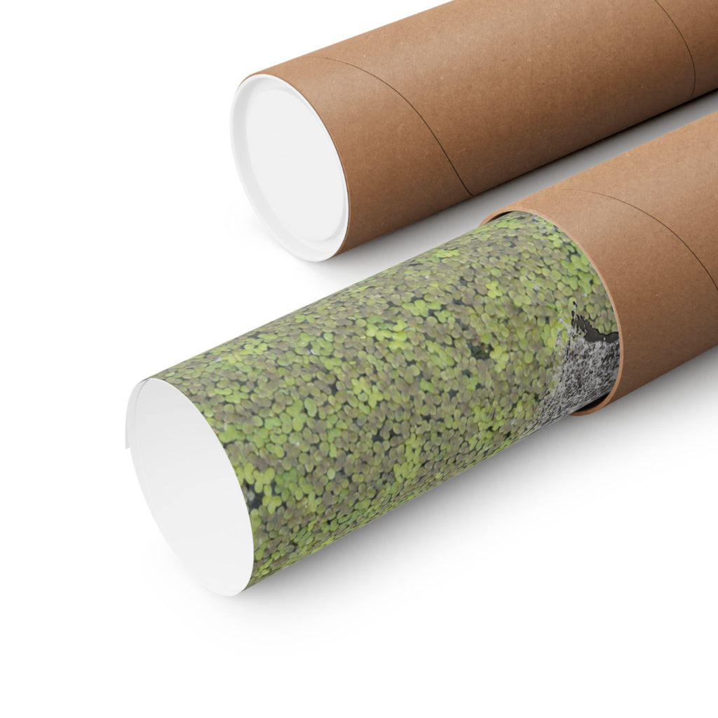 Matte horizontale poster met mosbegroeide maankrater — Botanisch groene maanwanddecoratie 