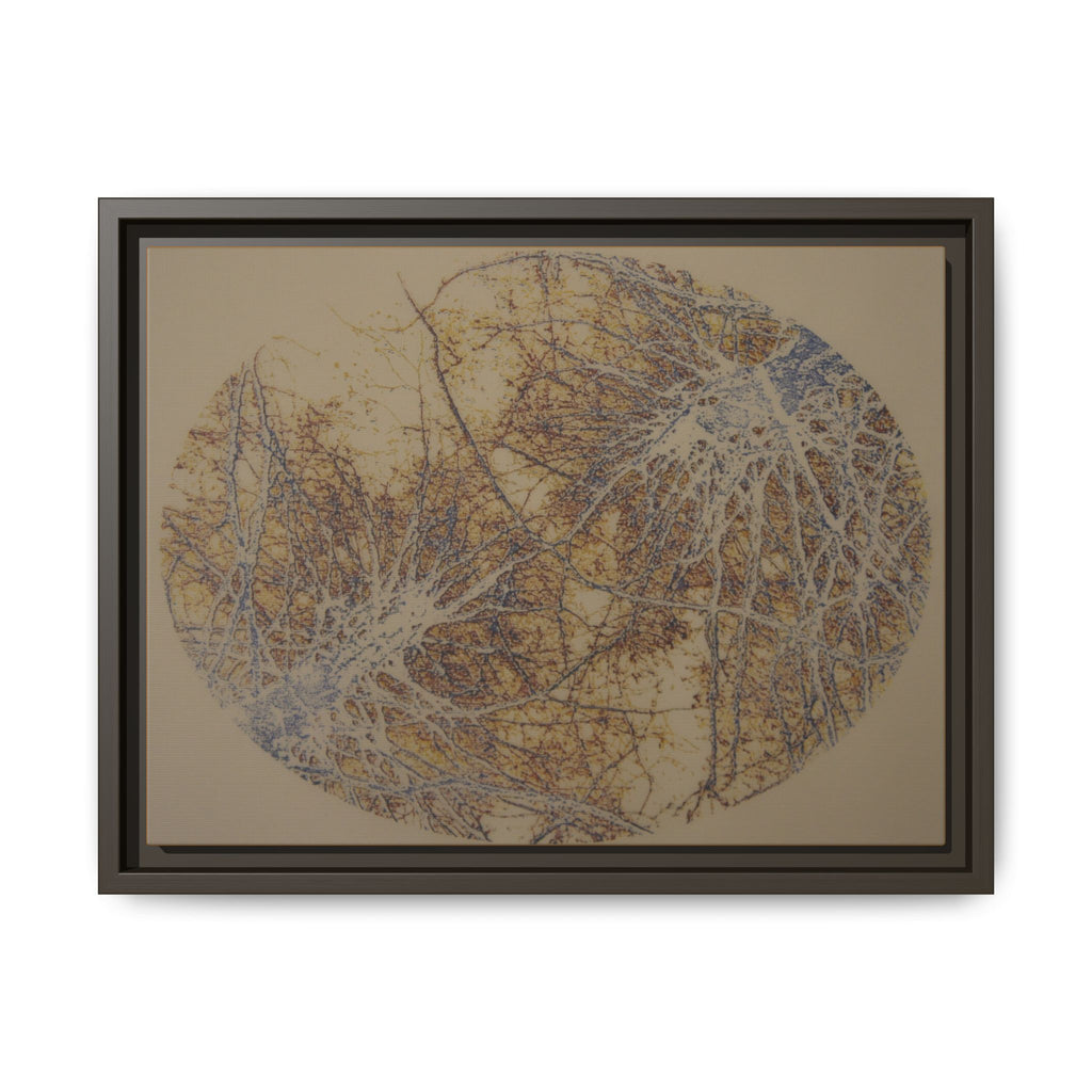 Botanical Orbit Matte Canvas Framed Wall Art - no 38