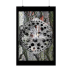 Abstracte natuurmandala poster — Zwart-wit paddenstoelen en boomschorskunst (matte verticale poster) 