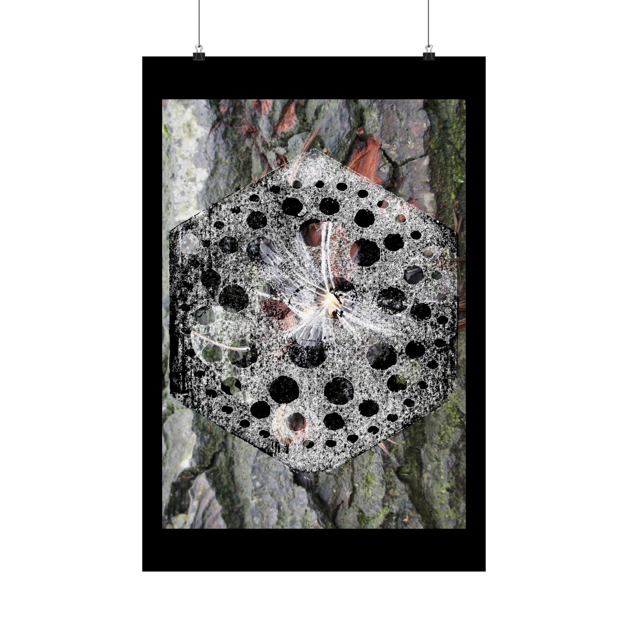Abstract Nature Mandala Poster — Black & White Fungi Tree Bark Art (Matte Vertical Poster)