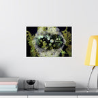Abstract Green Bubbles Matte Poster — Horizontal Nature-Inspired Wall Art