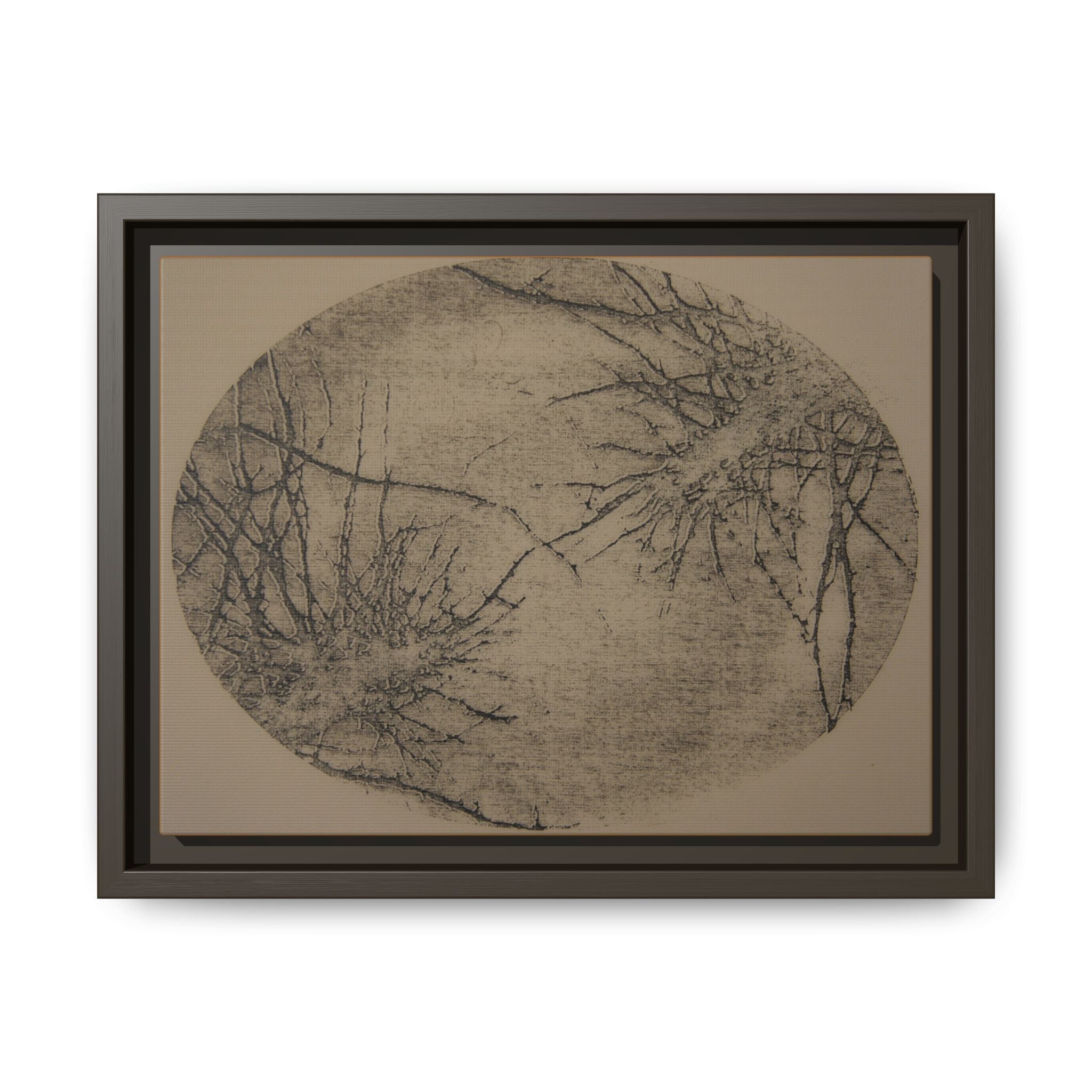 Abstract Botanical Matte Canvas Framed Wall Art - no 36