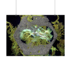 Abstracte poster met organische textuur | Horizontale wanddecoratie, geïnspireerd op de natuur 