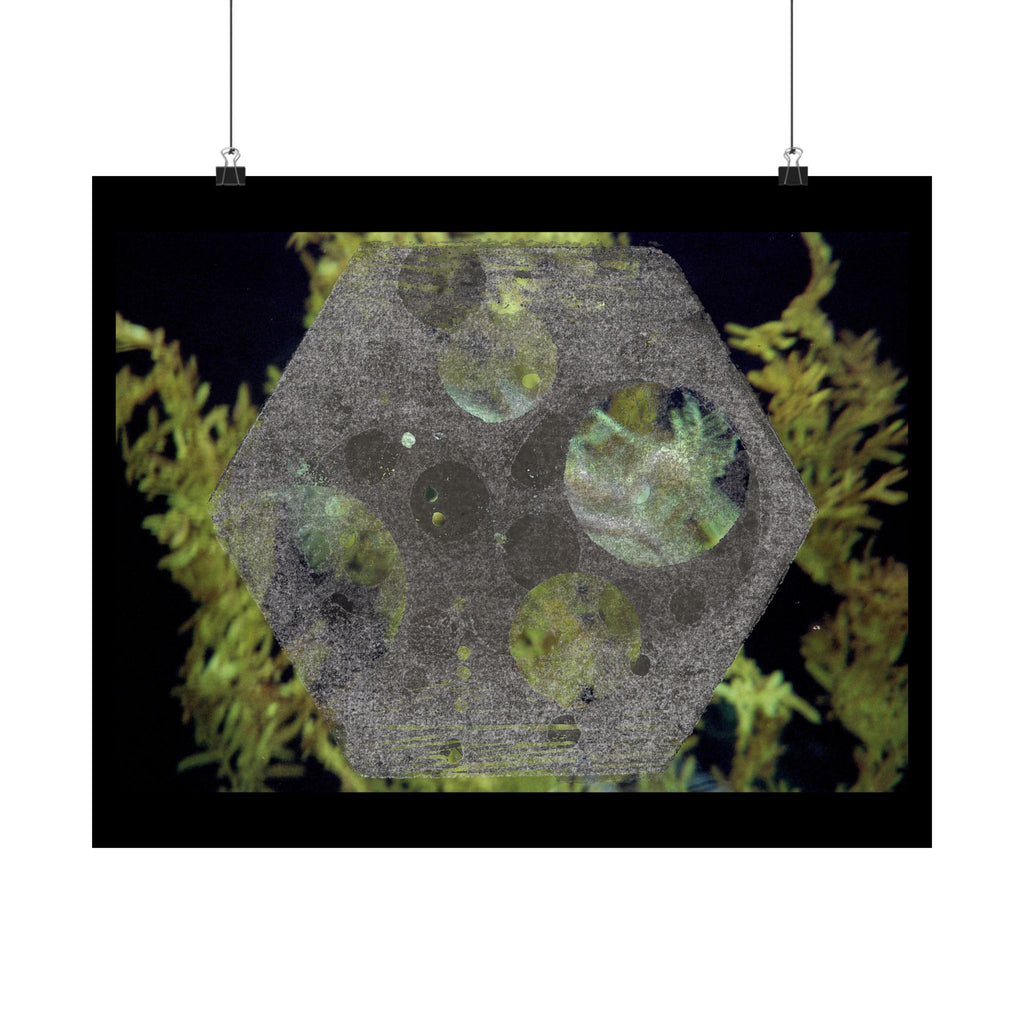 Abstract Botanical Moon Matte Horizontal Poster