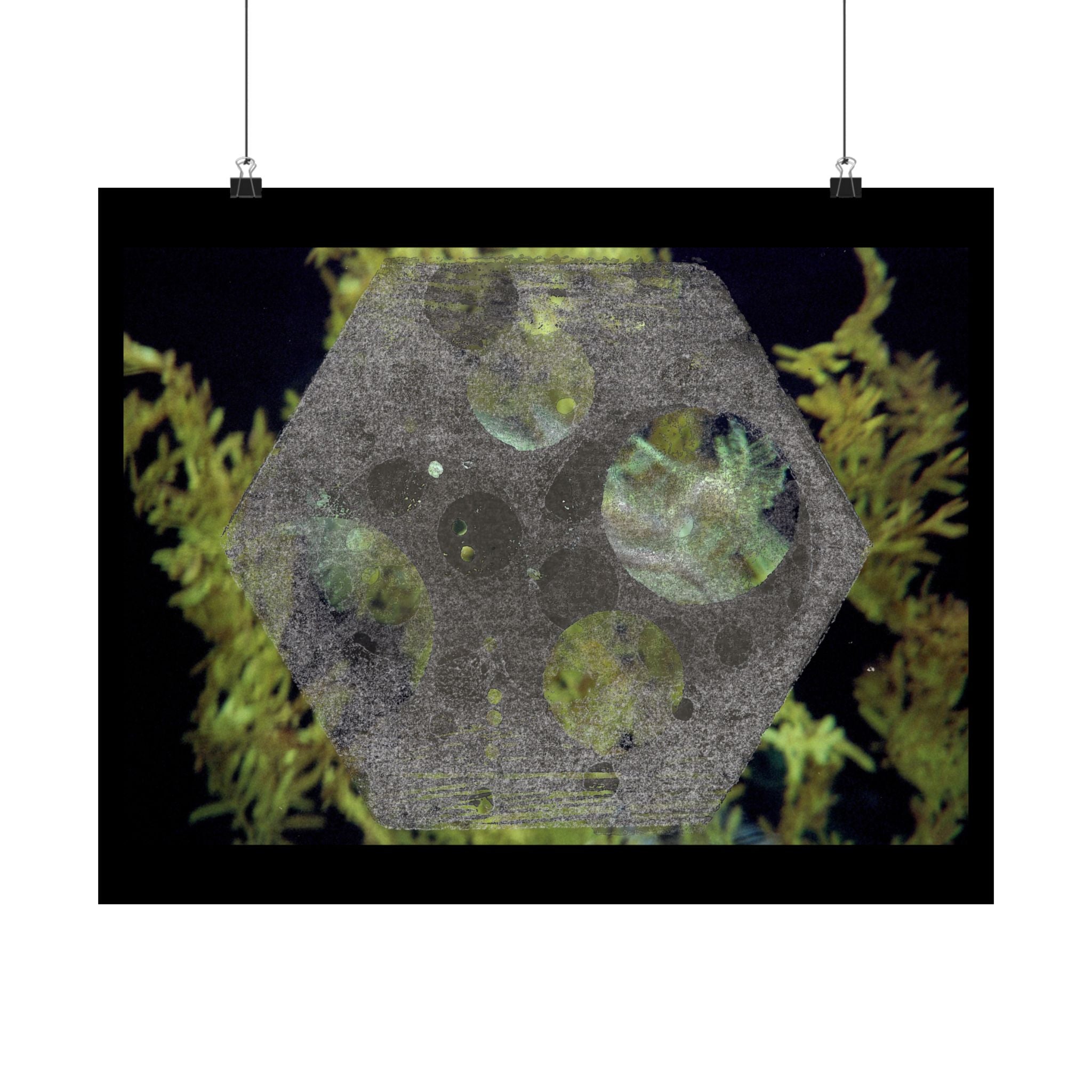 Abstract Botanical Moon Matte Horizontal Poster