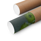 Daisy & Moss Floral Poster — Matte Horizontal Wall Art
