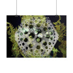 Abstracte groene bubbelkunstposter — Horizontale wandprint 