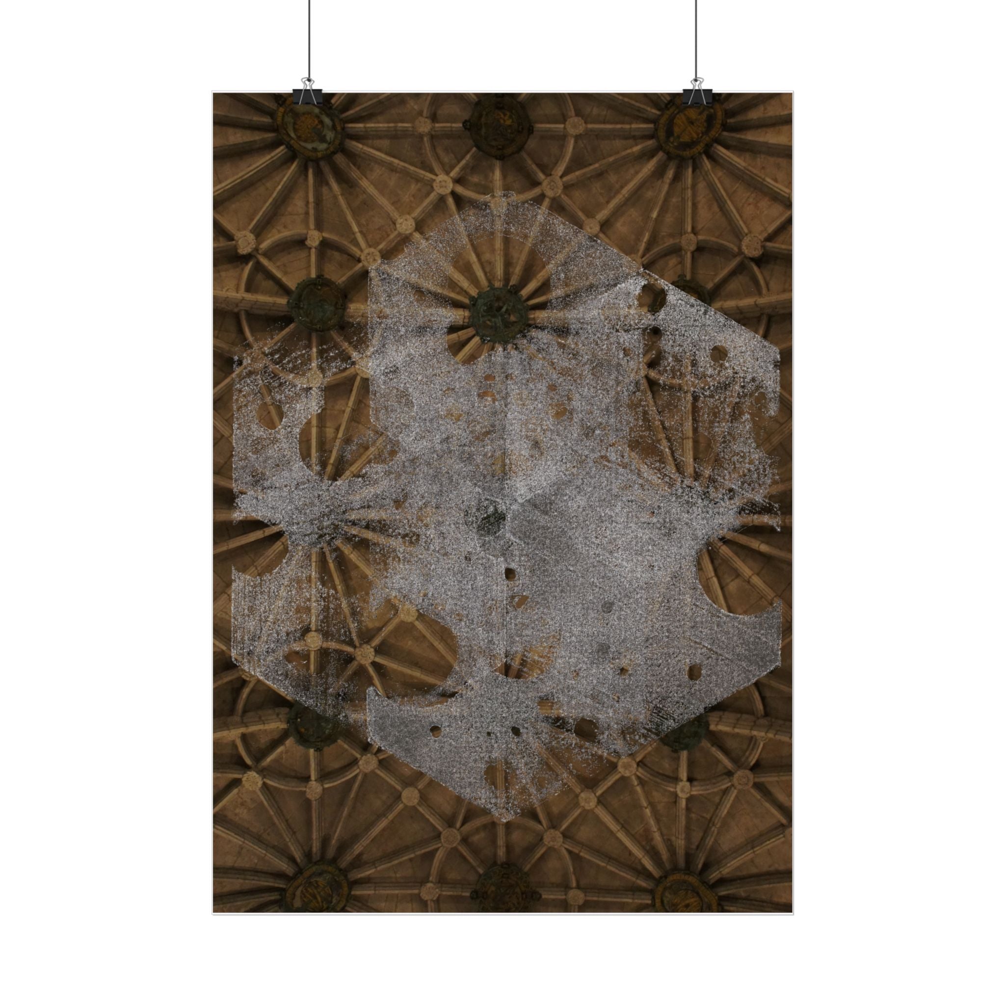 Vintage bloemen plafondposter — Verweerde gotische botanische muurdecoratie 