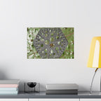 Geometric Hexagon Cutout Art Poster | Matte Horizontal Poster
