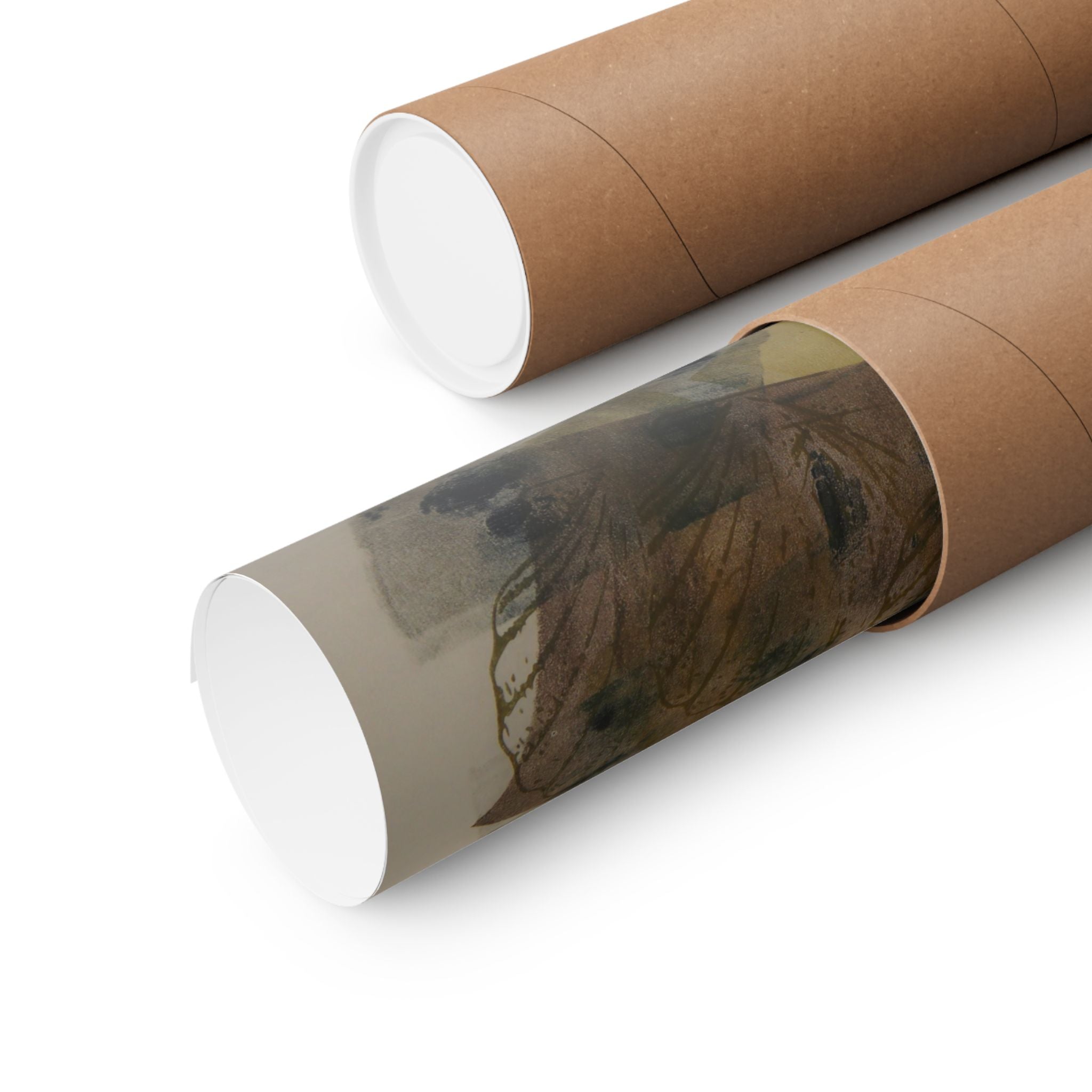 Abstracte botanische poster — Matte horizontale wanddecoratie met collage van veren en bloemen 