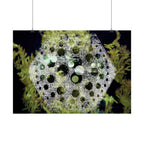 Abstracte groene bubbelkunstposter — Horizontale wandprint 