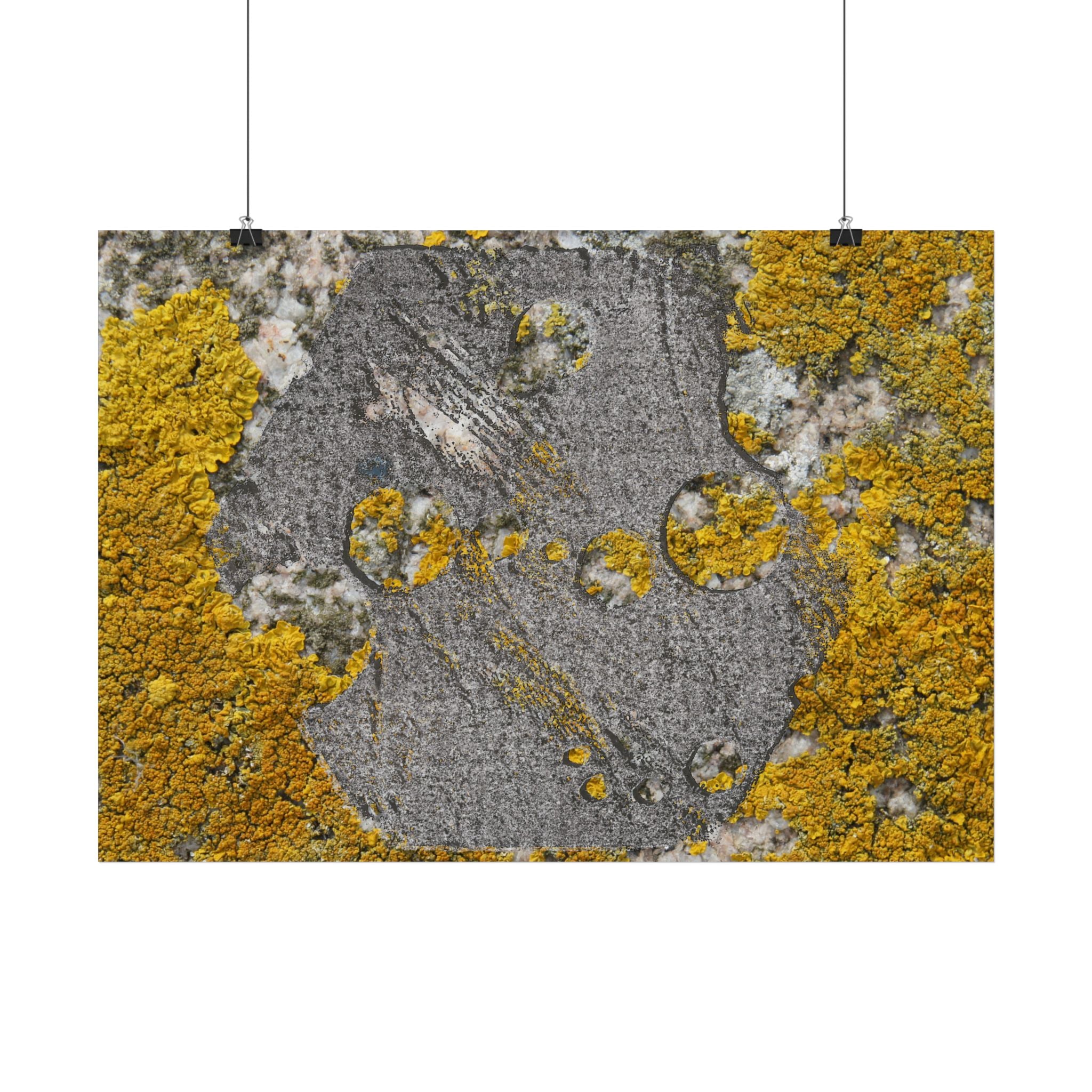 Poster met korstmosstructuur — Muurdecoratie met geel mos (horizontaal) 