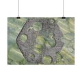 Abstracte poster met zeegras en steen, horizontaal model — Muurdecoratie met kusttextuur 