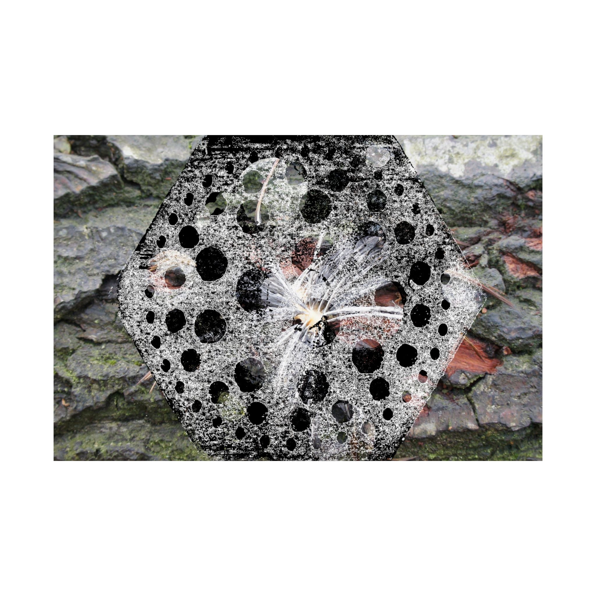 Dandelion Seed Macro Poster — Matte Horizontal Nature Wall Art