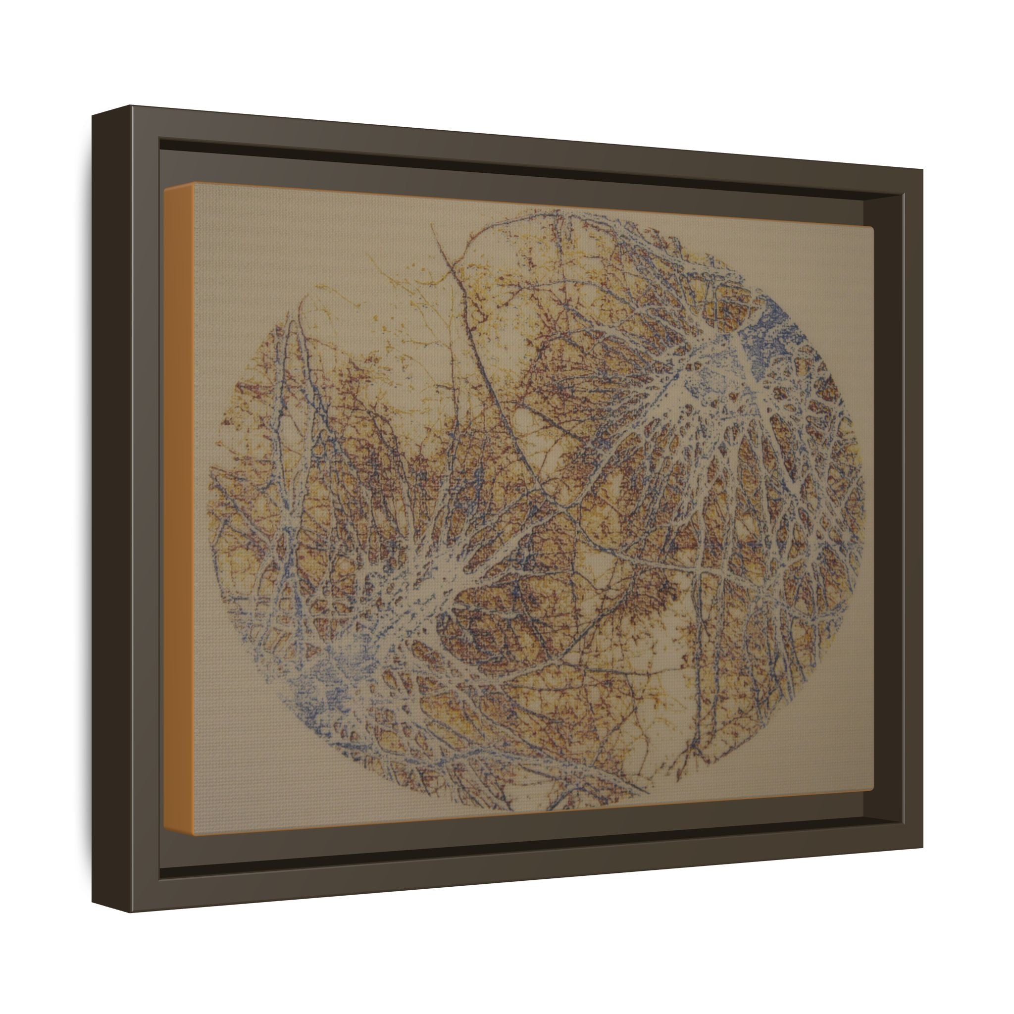 Botanical Orbit Matte Canvas Framed Wall Art - no 38