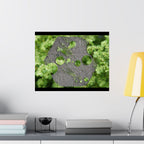 Abstracte poster met groen mos en verweerd metaal (mat) — Botanische natuur muurdecoratie (horizontaal) 