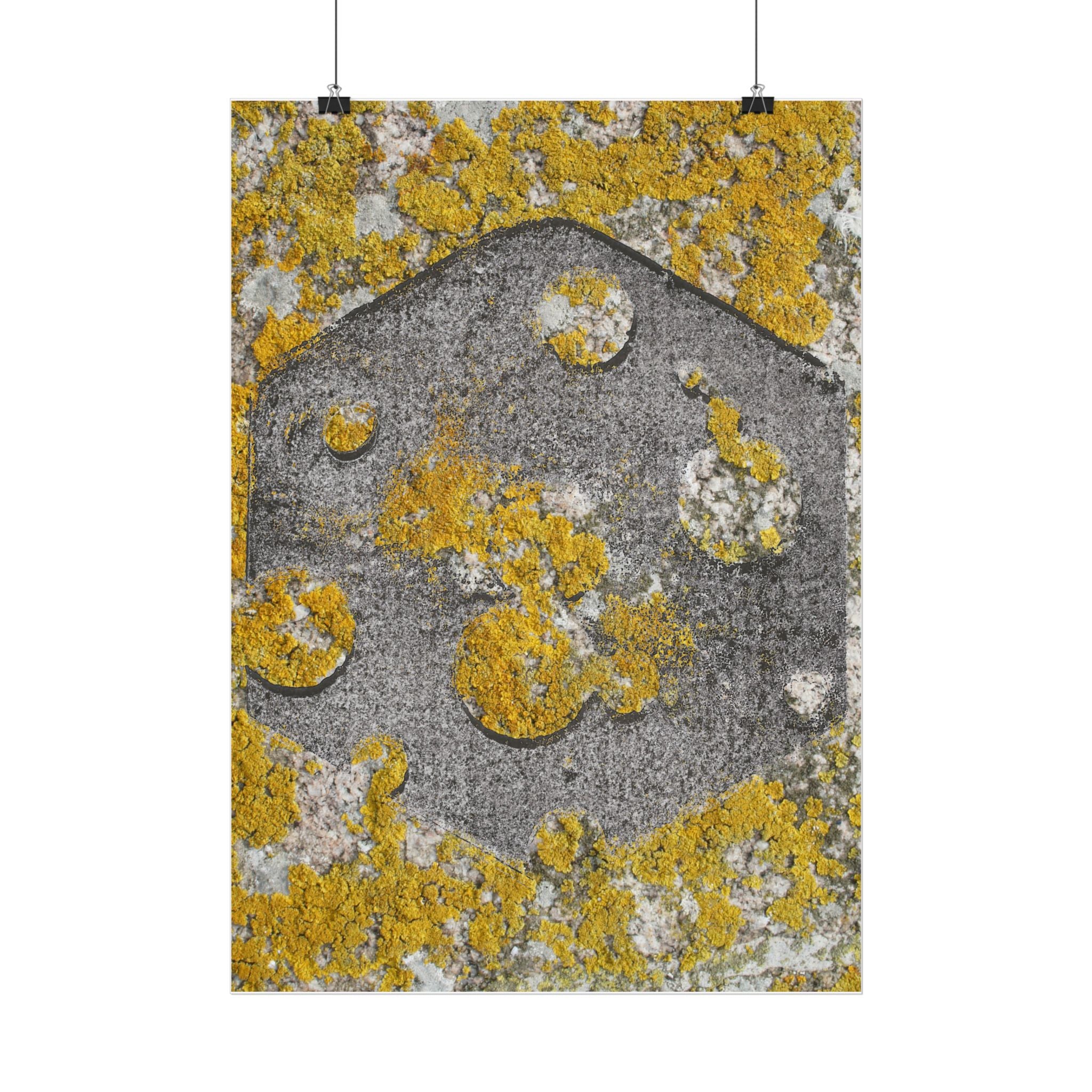 Lichen Texture Poster — Yellow & Gray Abstract Wall Art (Vertical)