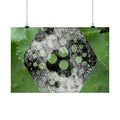Matte Horizontal Poster — Green Hexagon Botanical Abstract Wall Art