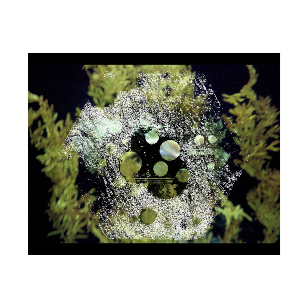 Abstracte natuurcollage, matte horizontale poster 