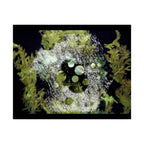 Abstracte natuurcollage, matte horizontale poster 