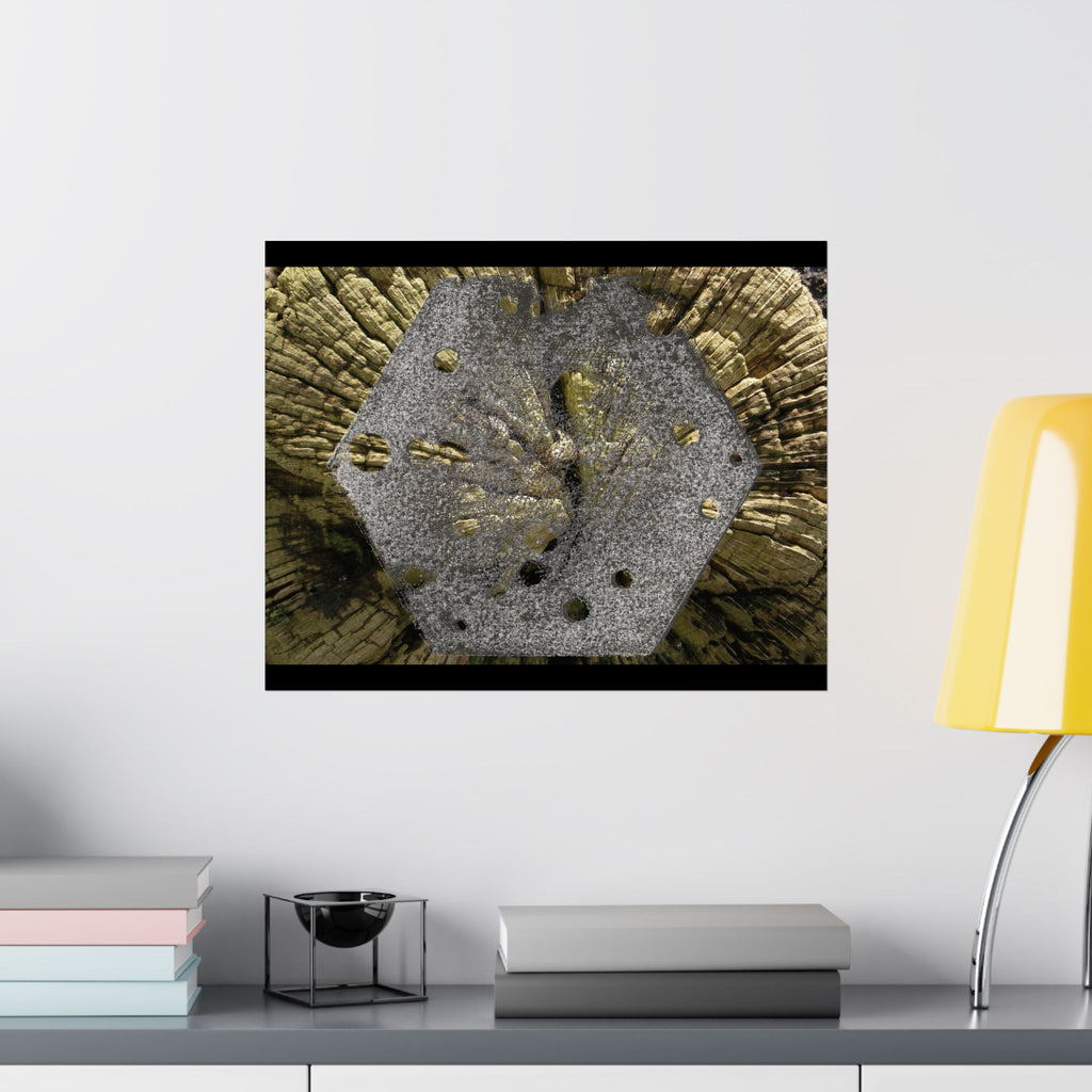 Weathered Tree Cross-Section Poster | Matte Horizontal Wall Art