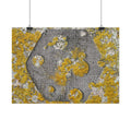Abstracte poster met korstmosstructuur — Botanische muurdecoratie in geel en grijs 