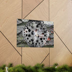Dandelion Seed Macro Poster — Matte Horizontal Nature Wall Art