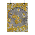 Lichen Texture Poster — Yellow & Gray Abstract Wall Art (Vertical)