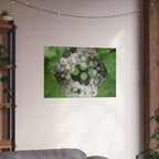 Matte Horizontal Poster — Green Hexagon Botanical Abstract Wall Art