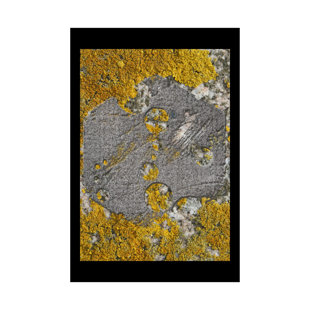 Lichen Texture Matte Poster — Yellow & Gray Nature Wall Art