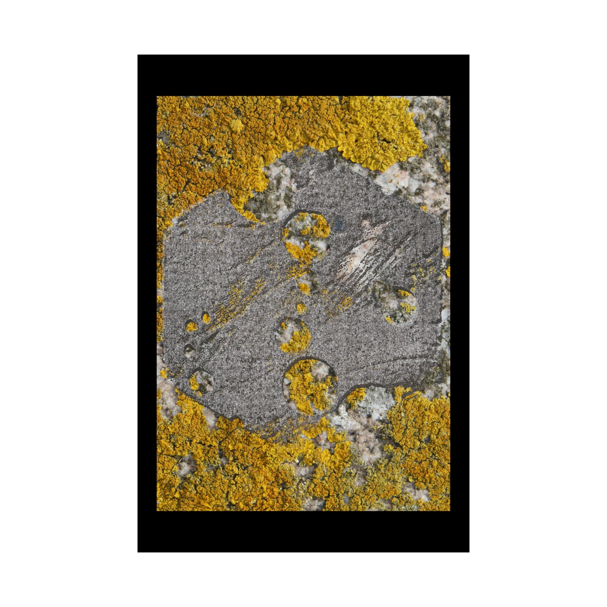 Lichen Texture Matte Poster — Yellow & Gray Nature Wall Art
