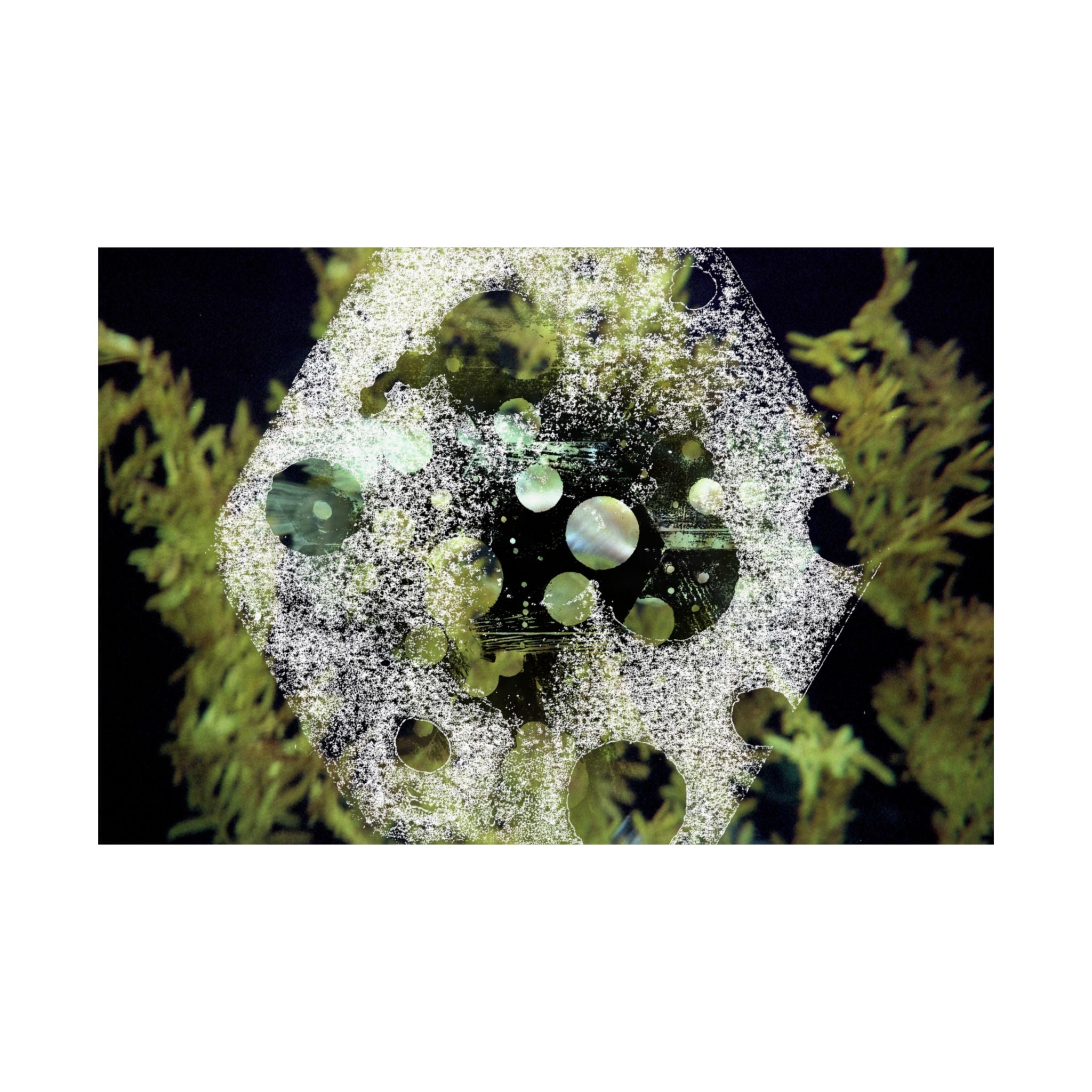 Abstract Green Bubble Matte Poster — Botanical Surreal Horizontal Wall Art
